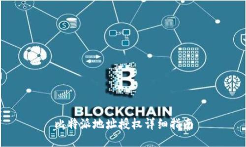 比特派地址授权详细指南