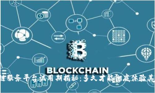 区块链服务平台试用期揭秘：多久才能彻底体验其魅力？