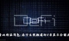 探索比特派钱包：为什么我拥有的U币显示余额为