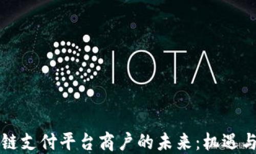
区块链支付平台商户的未来：机遇与挑战