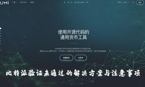 比特派验证未通过的解决方案与注意事项