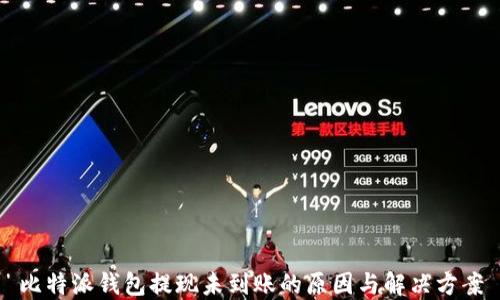 
比特派钱包提现未到账的原因与解决方案