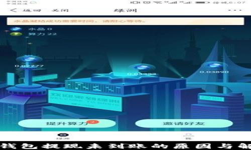 
比特派钱包提现未到账的原因与解决方案