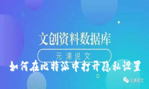 如何在比特派中打开隐私设置