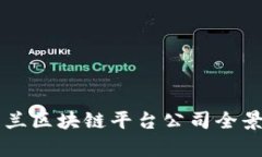 乌克兰区块链平台公司全景盘点