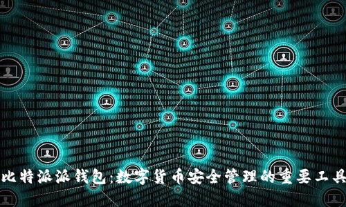 比特派派钱包：数字货币安全管理的重要工具
