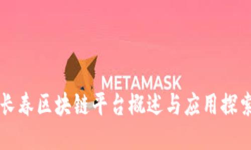 长春区块链平台概述与应用探索